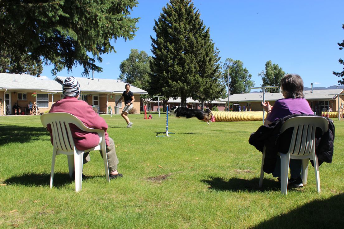 Dogs perform for manor residents